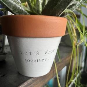 Let's Grow together, plant not included, gift, planters