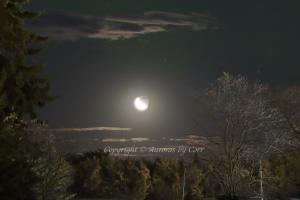 Earthshine