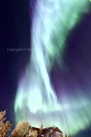 Urban Aurora