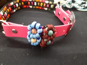 collar flowers