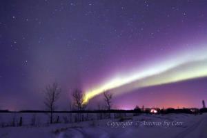 Purple Majesty