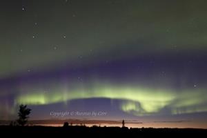 Aurora Sunset