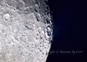 Moon Barnacles