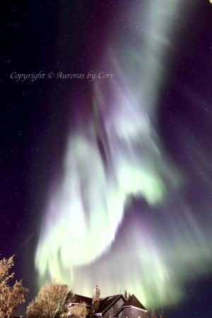 Celestial Crinoline