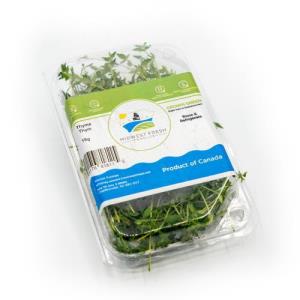 Thyme (Clamshell, 15g)