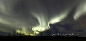Midnight Storm