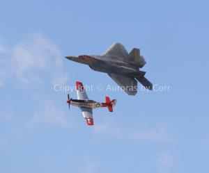 Heritage Flight - Raptor and Mustang - Photographic Print - Matted