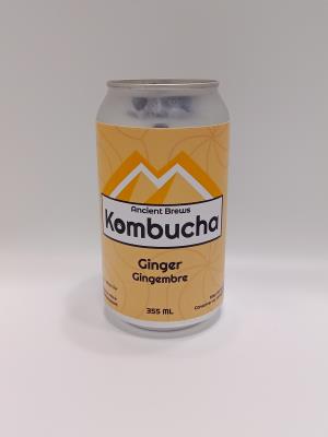 Ginger Kombucha - 24 Pack